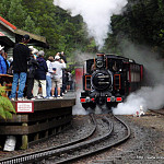 Thumb for Wilderness Railway